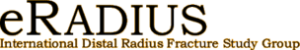 International Distal Radius Fracture Study Group